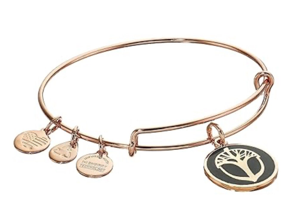 Alex and Ani - Unexpected Miracles Color Infused Olive Background Charm