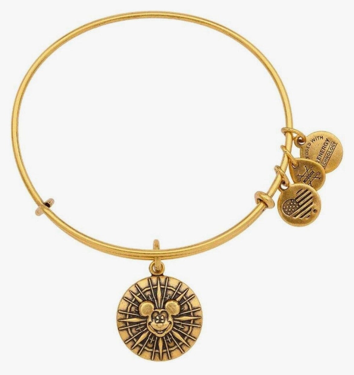 Alex and Ani - Disney Park Exclusive Charm Bracelet - Calif. Adventure’s Mickey's Fun Wheel, New In Box, Rafaelian Gold, Collectable