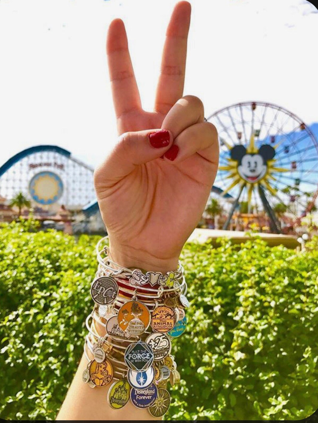 Alex and Ani - Disney Park Exclusive Charm Bracelet - Passholder Mickey Mouse, Shiny Silver, Collectable Bracelet for Her, New in Box
