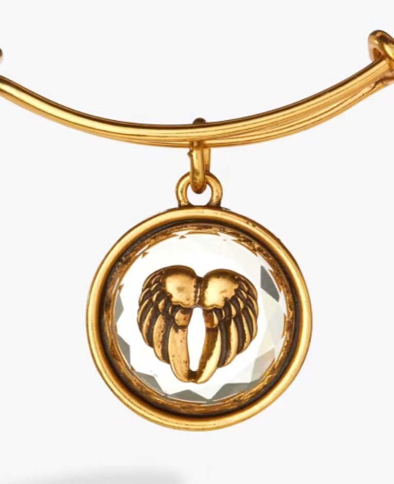 Angel Charms