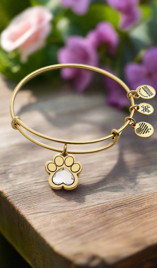 Alex and Ani - Prints of Love Charm Bangle