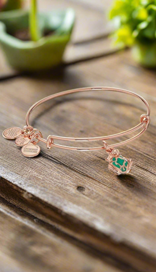 Alex and Ani - Frog Prince with Crown Charm Bangle Bracelet
