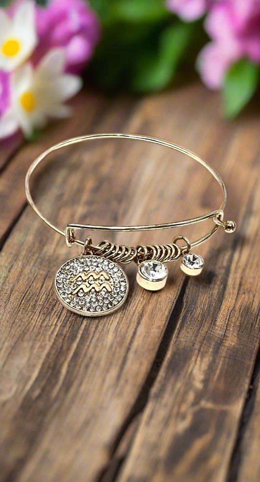 Pavé Aquarius Zodiac Charm (January 19 - February 20) Wear for Balance + Creativity