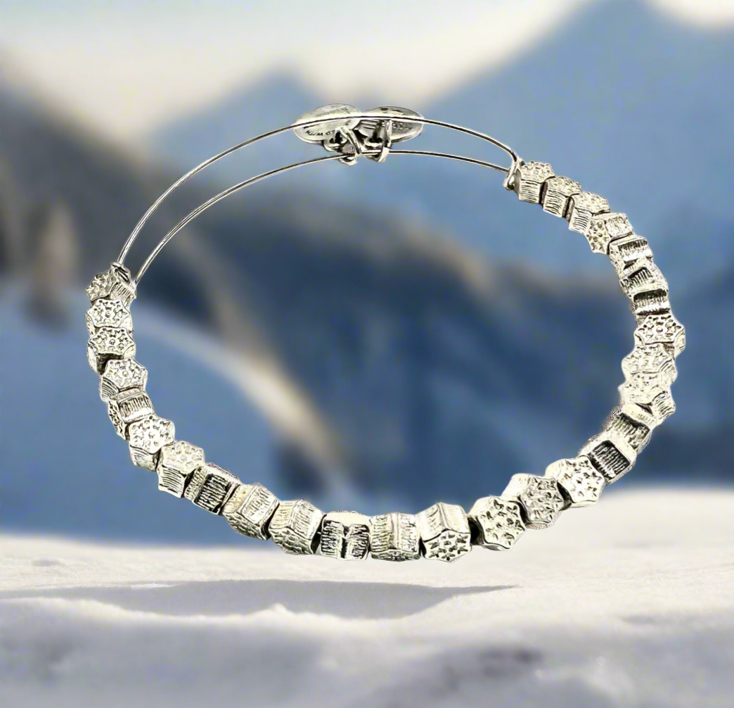 Alex and Ani - Snowflake Beaded Charm Bangle, NWOT Rafaelian Shiny Silver