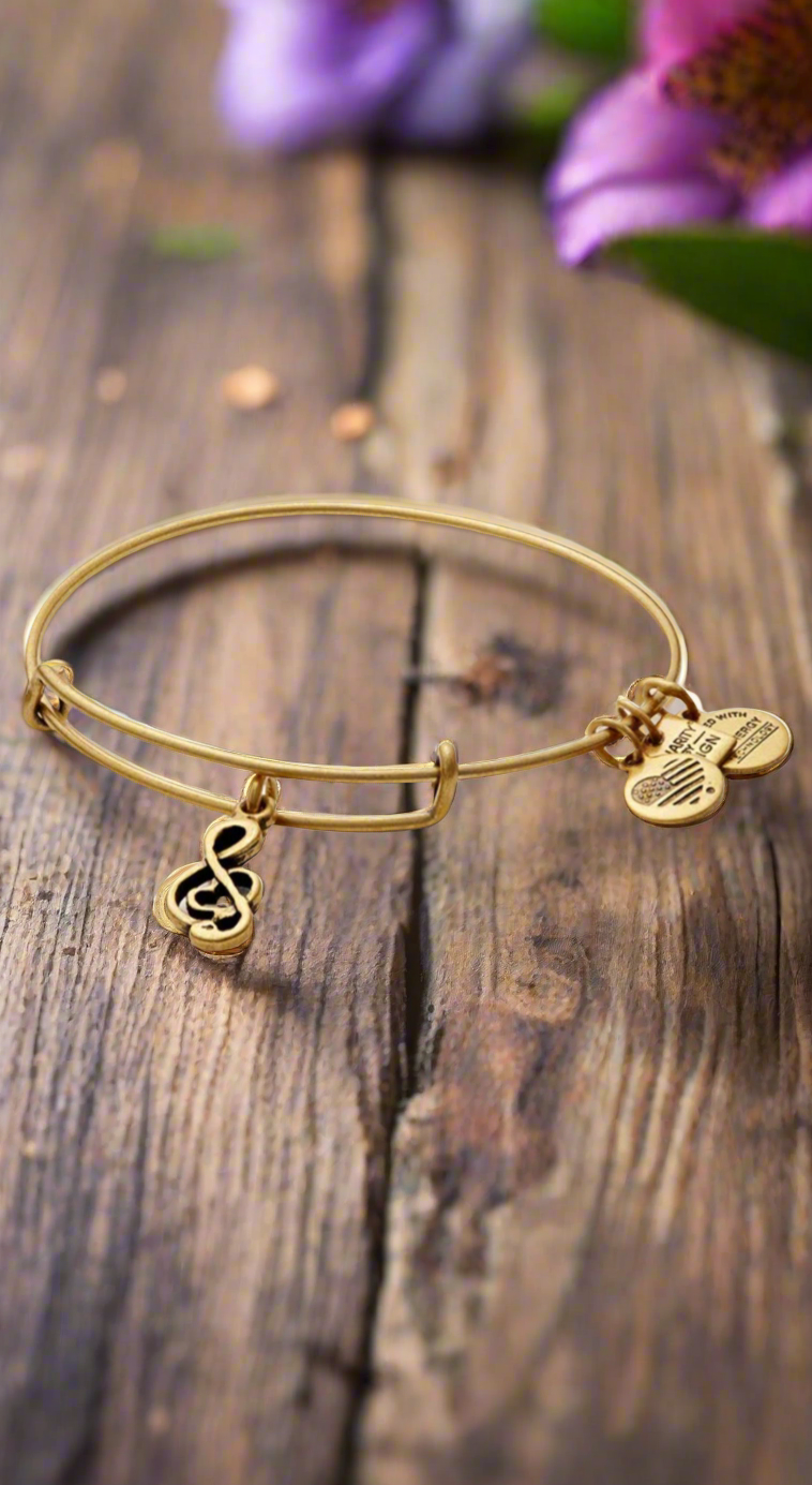 Alex and Ani - Sweet Melody Charm Bangle Bracelet, VH1 Save The Music Foundation, Charity By Design