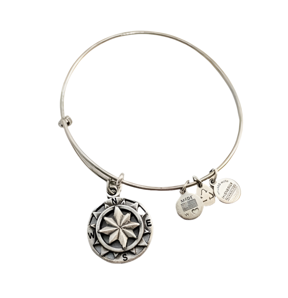 Alex and Ani - Compass Charm Bangle Bracelet