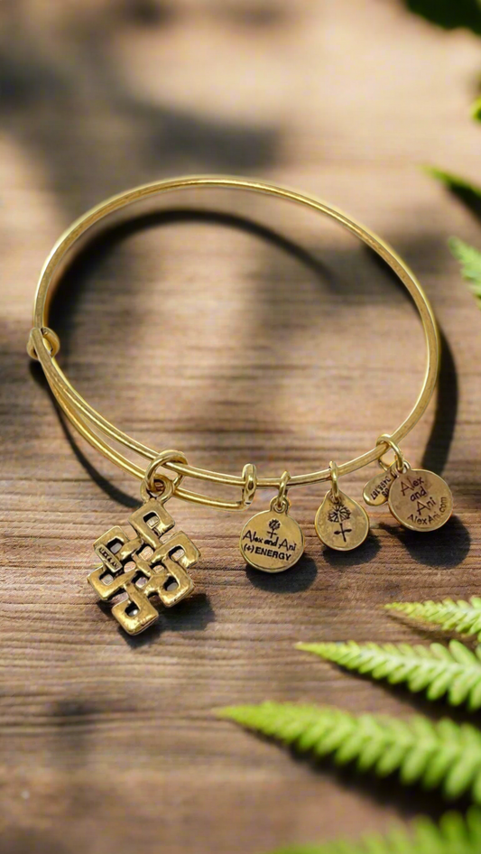 Alex and Ani - Endless Knot Charm Bangle Bracelet