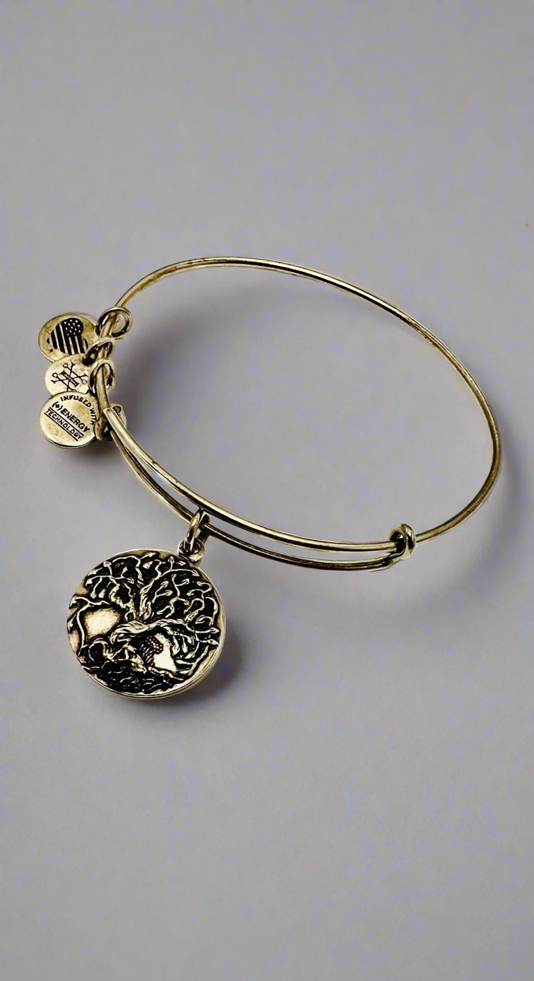 Alex and Ani - Tree of Life Larger Charm Bangle Bracelet
