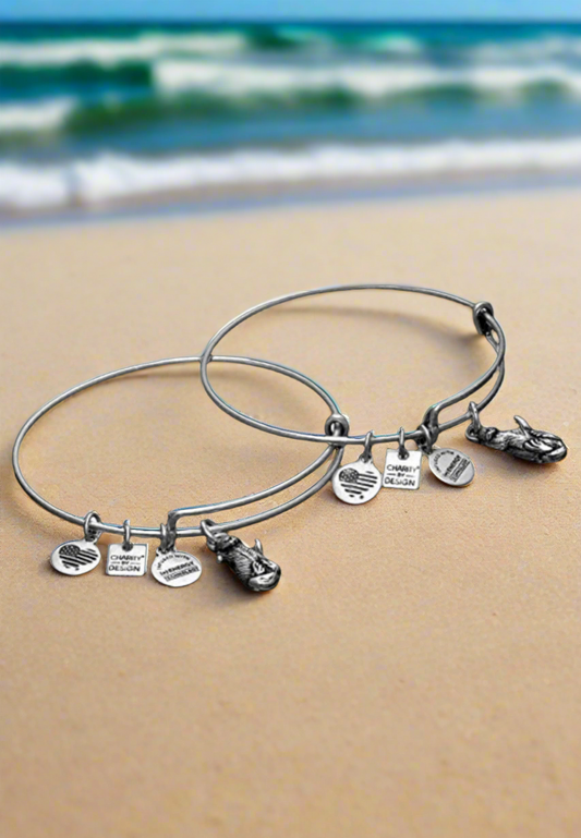 Alex and Ani - Charity by Design, Pair of Otters, 2 Bracelets, Rafaelian Gold/Silver, Gift for You & Your BFF, NWOT, Collectable Gift