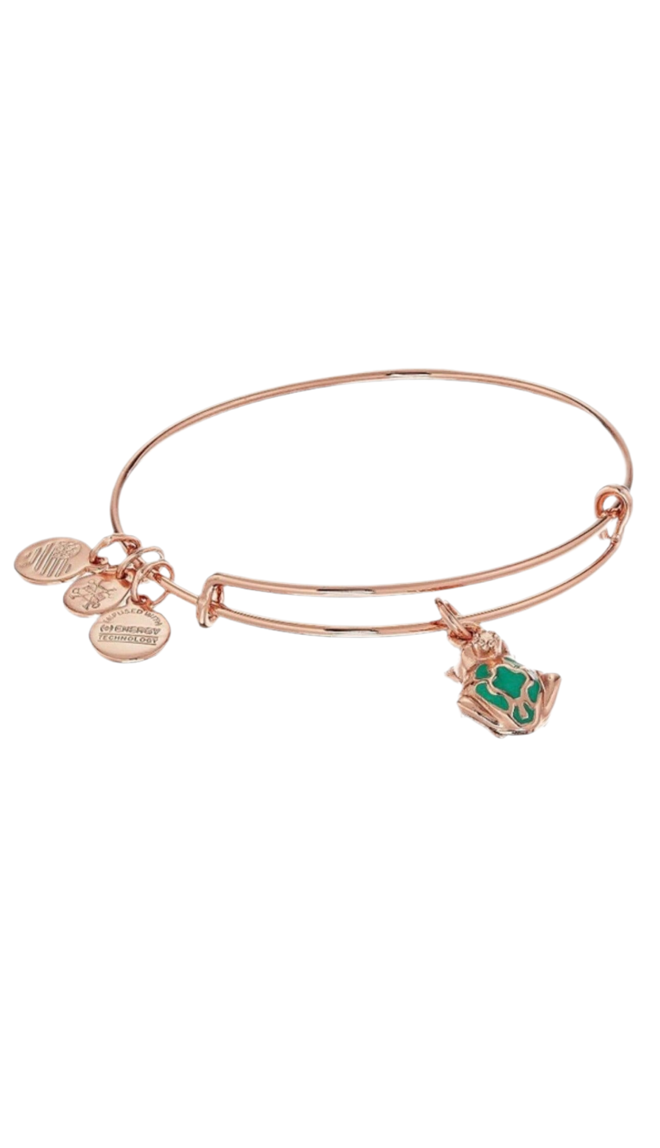 Alex and Ani - Frog Prince with Crown Charm Bangle Bracelet