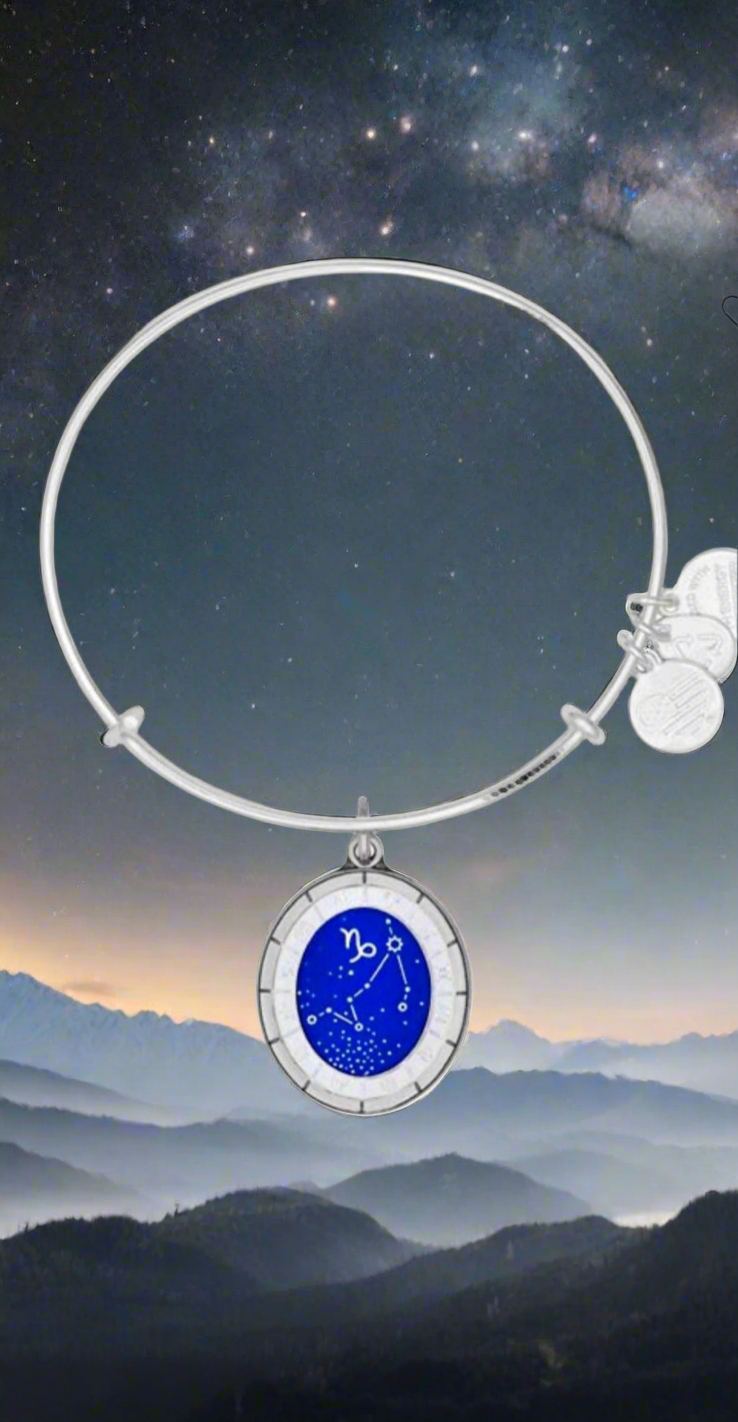 Alex and Ani - Capricorn, 12/22–1/19, Celestial Wheel Charm, Bangle Bracelet
