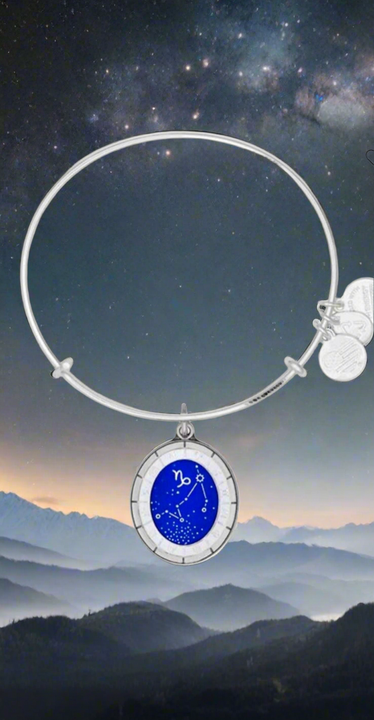 Alex and Ani - Capricorn, 12/22–1/19, Celestial Wheel Charm, Bangle Bracelet