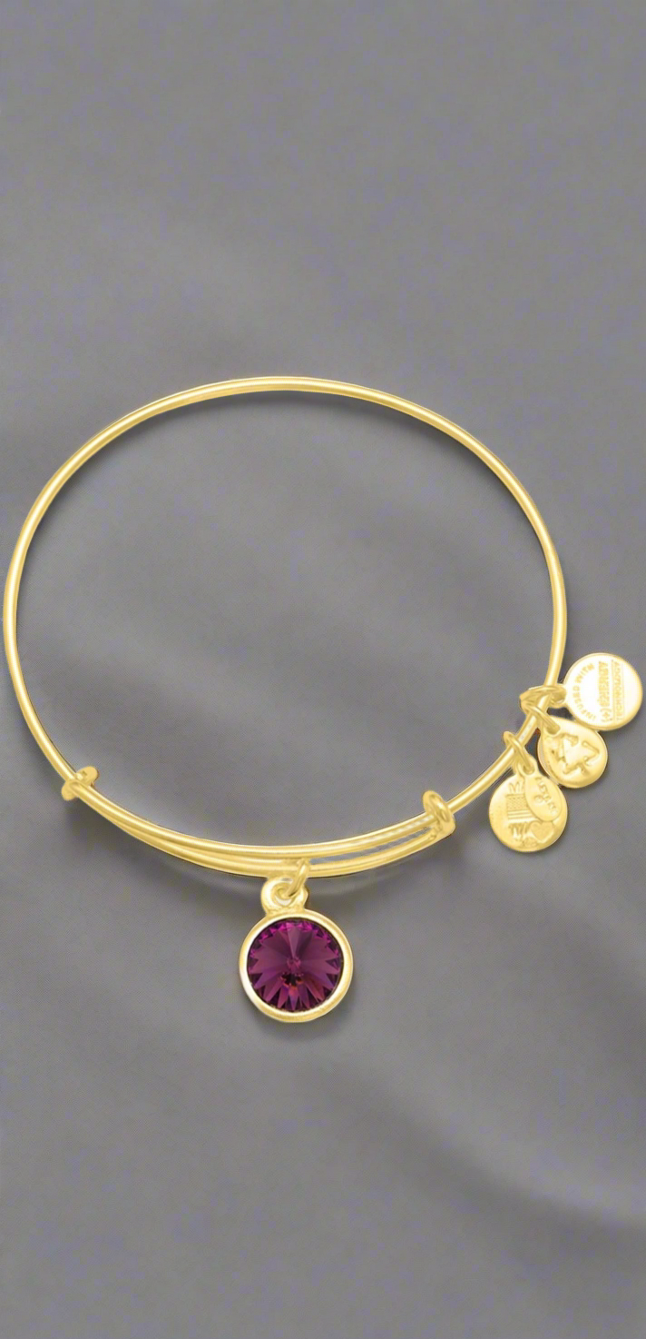 Alex and Ani - February Birth Amethyst Swarovski Crystal, Three Styles Bangle Bracelet