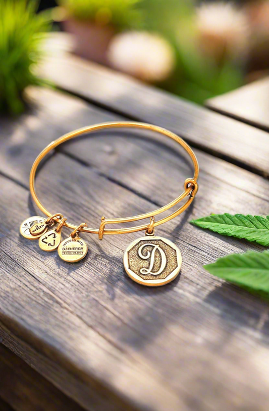 Alex and Ani - “D” Initial Charm Bangle Bracelet
