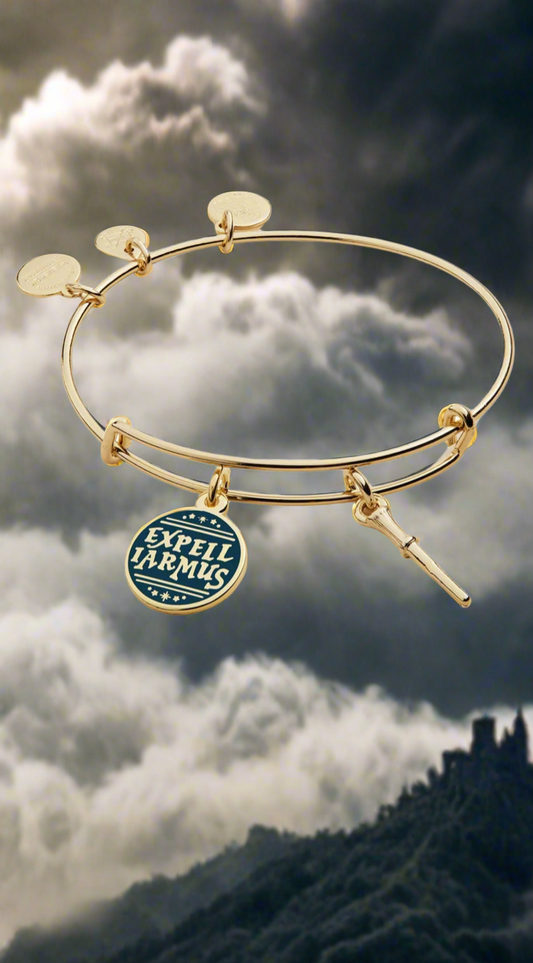 Alex and Ani - Harry Potter™ Expelliarmus Duo Charm Bangle Bracelet