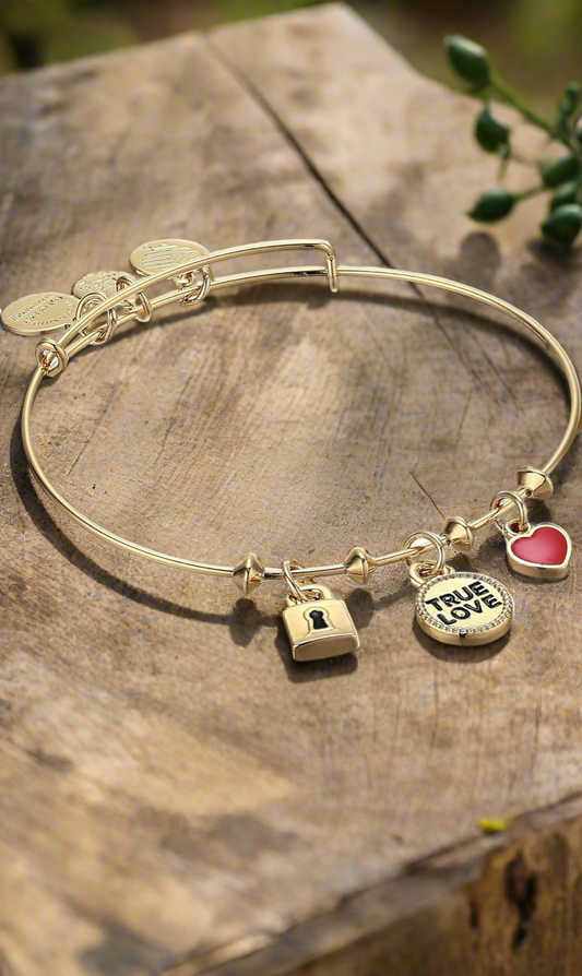 Alex and Ani - True Love Triple Charm Bangle Bracelet