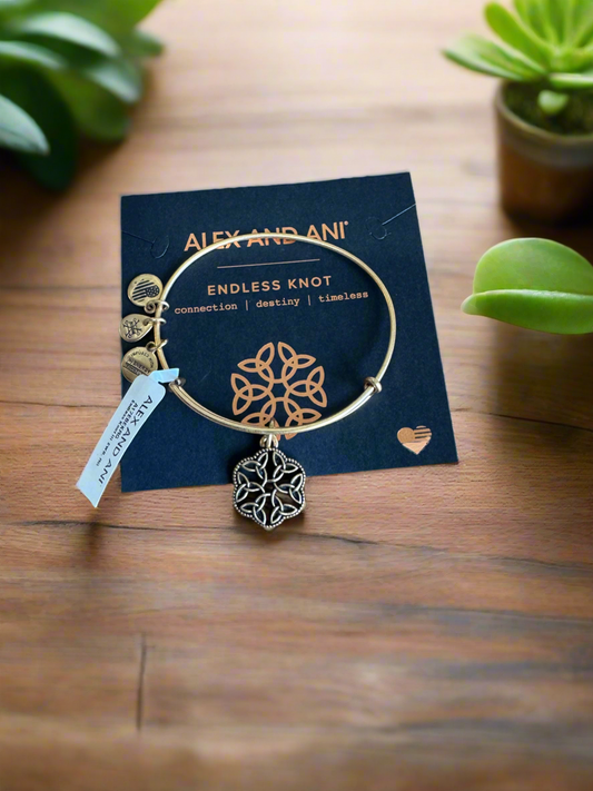 Alex and Ani - Endless Knot III Charm Bangle Bravelt