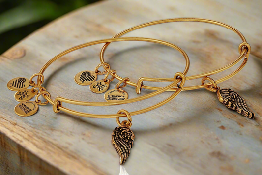 Alex and Ani - Wings Charms Bangle Bracelets , Set of 2 Bracelets or A Single Charm Bangle, Gift for You and Your BFF