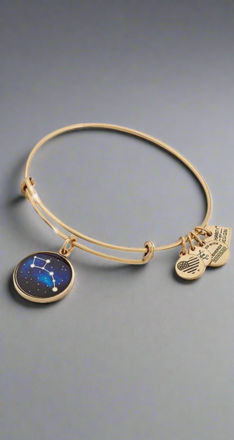 Alex and Ani - Little Dipper Charm Bangle Bracelet