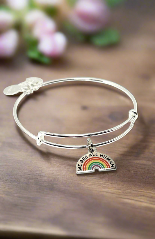 Alex and Ani - “We Are All Human” Color Infusion Rainbow Charm Bracelet