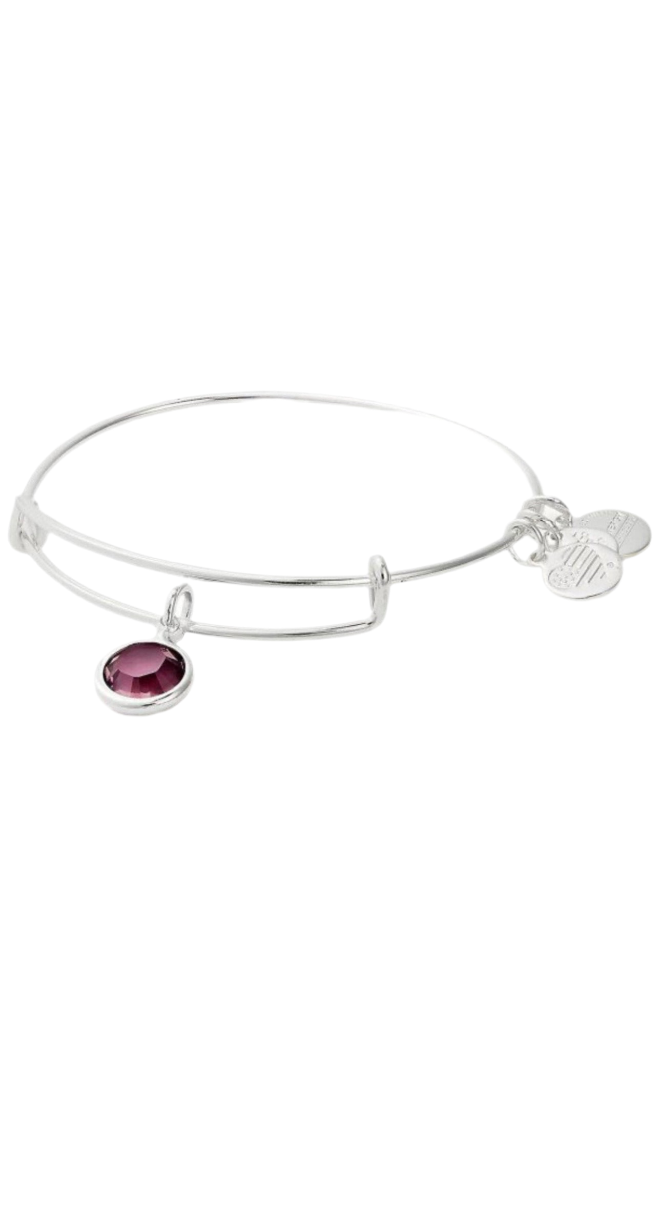 Alex and Ani - February Birth Amethyst Swarovski Crystal, Three Styles Bangle Bracelet