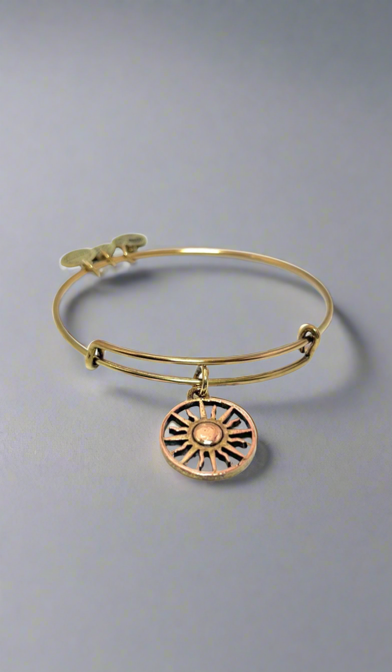 Alex and Ani - Rising Sun Charm Bangle, Rafaelian Rose Gold Charm and Gold Bracelet