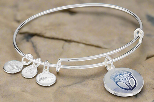 Alex and Ani - Unexpected Miracles Blue Charm Art Infused Rafaelian Silver Bangle Bracelet