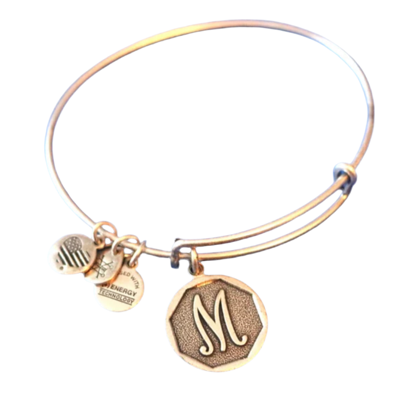 Alex and Ani “M” Initial Charm Bangle Bracelet Rafaelian Gold