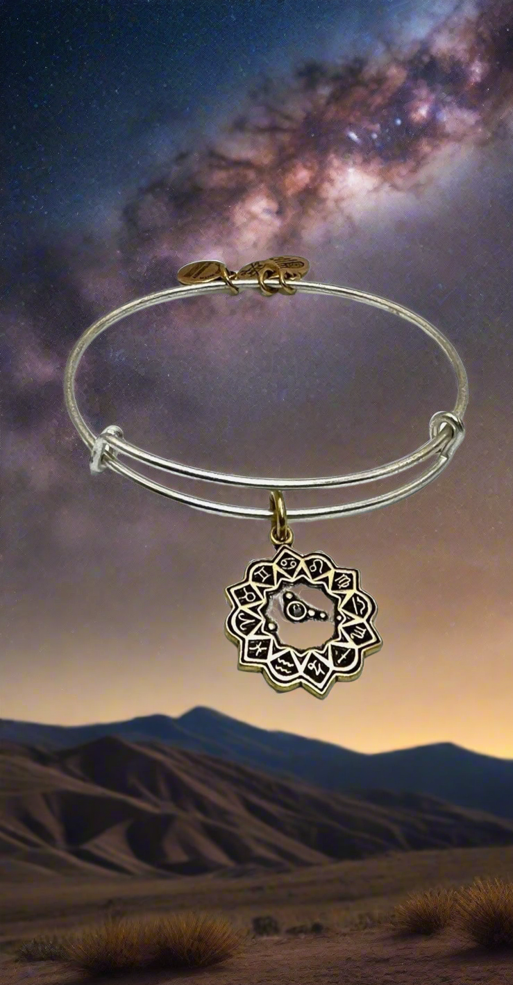 Alex and Ani - Cancer Star Constellation Charm Bangle Braceet - June 21 to July 22