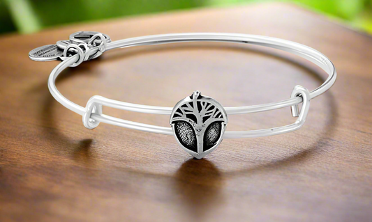 Alex and Ani - Unexpected Miracles Slider Charm Bangle Bracelet