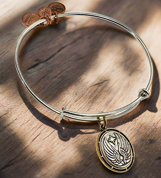 Alex and Ani - Guiding Light  Bracelet Two Tone Charm Bangle Bracelet