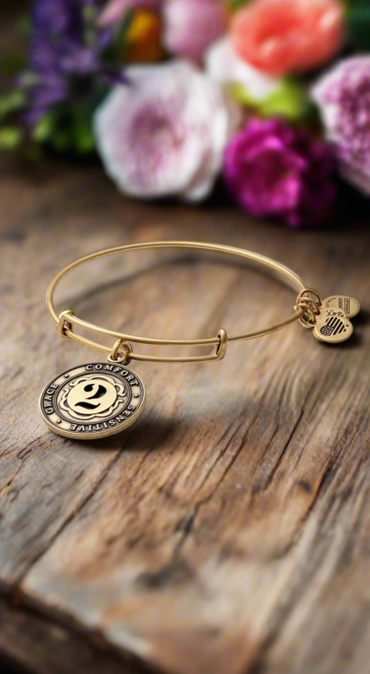 Alex and Ani - Number 2 Charm Bangle Bracelet, Numerology