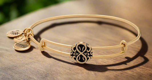Alex and Ani - Path of Life Charm Slide, Rafaelian Gold/Silver Bangle Bracelet