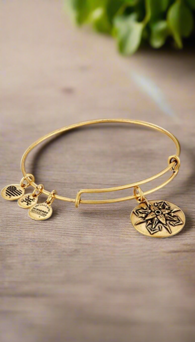 Alex and Ani - Healing Love Charm Bangle Bracelet, 2 Styles