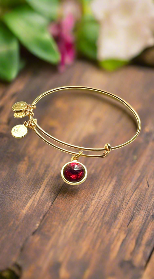 Alex and Ani - January PERSEVERANCE, Birthstone Swarovski Crystal Charm Bangle Bracelet