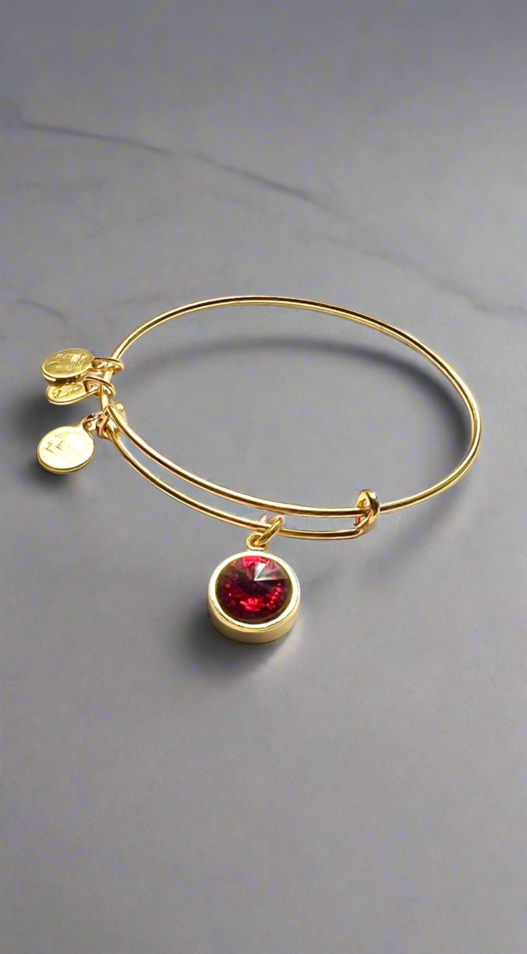 Alex and Ani - January PERSEVERANCE, Birthstone Swarovski Crystal Charm Bangle Bracelet