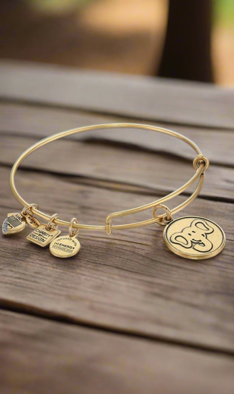 Alex and Ani - Charity by Design , Elephant Friends of Jaclyn Foundation Charm Bangle Bracelet