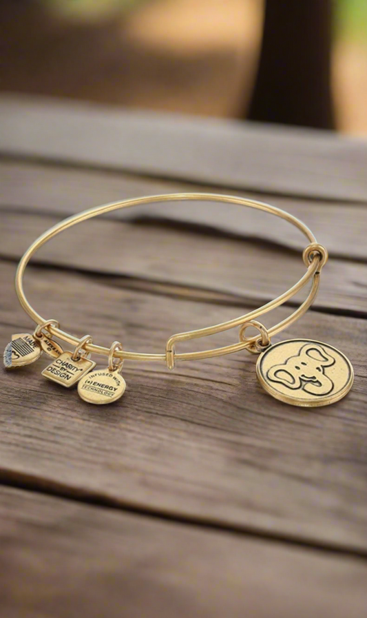 Alex and Ani - Charity by Design , Elephant Friends of Jaclyn Foundation Charm Bangle Bracelet