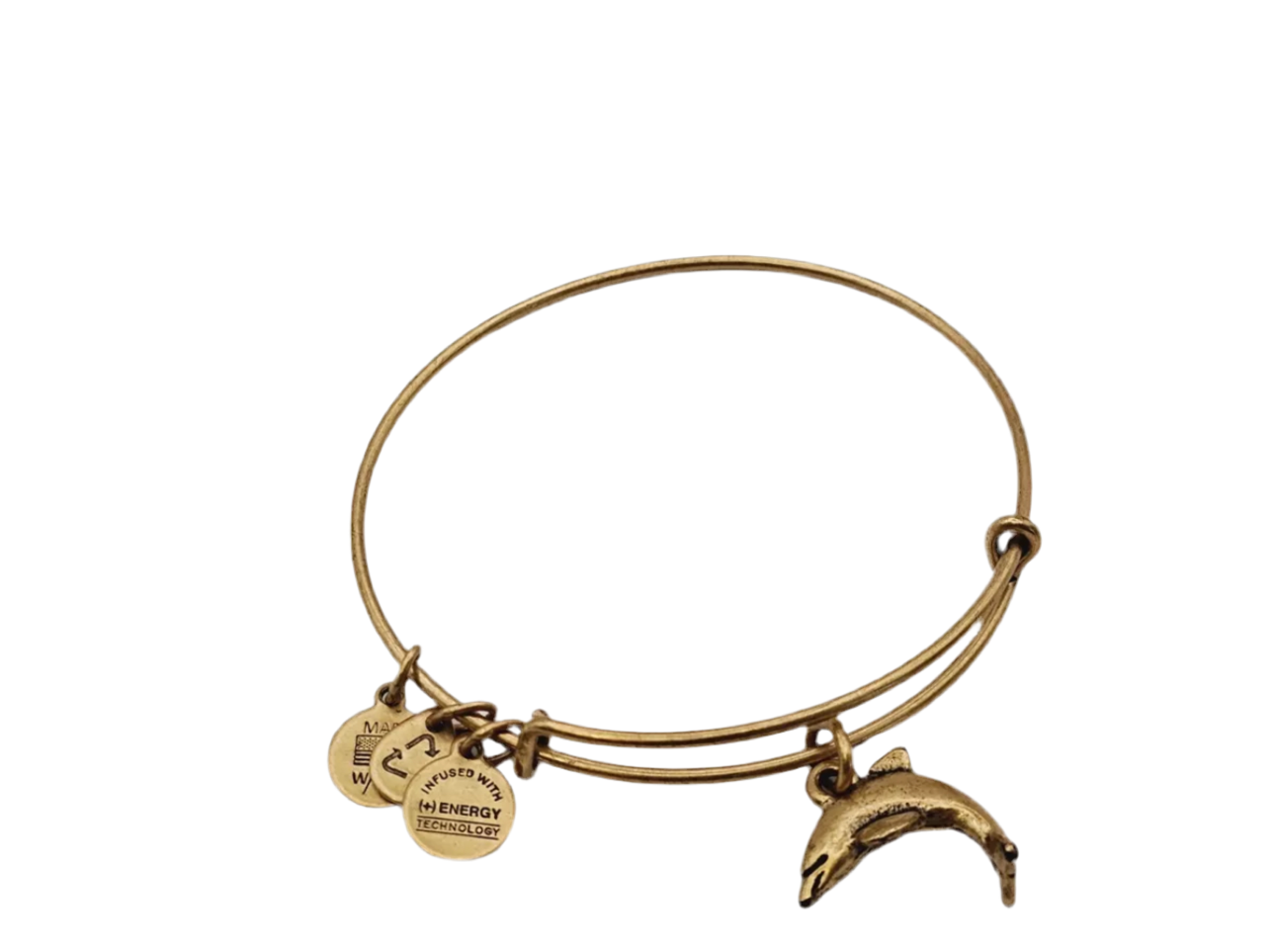 Alex and Ani - Dolphin Charm Bangle Bracelet