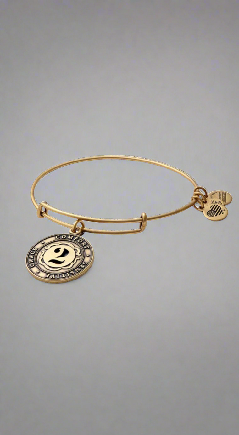 Alex and Ani - Number 2 Charm Bangle Bracelet, Numerology
