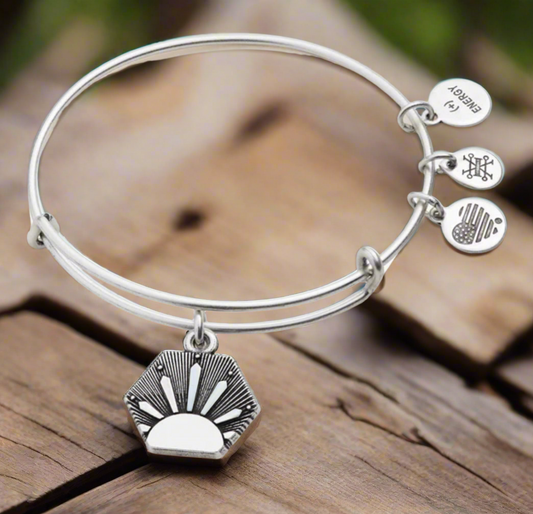 Alex and Ani - Growth & New Beginnings, Sun Charm Bangle Bracelet, Shiny Silver, Stackable, Collectable Bracelet, Gift For Her, NWT + Card