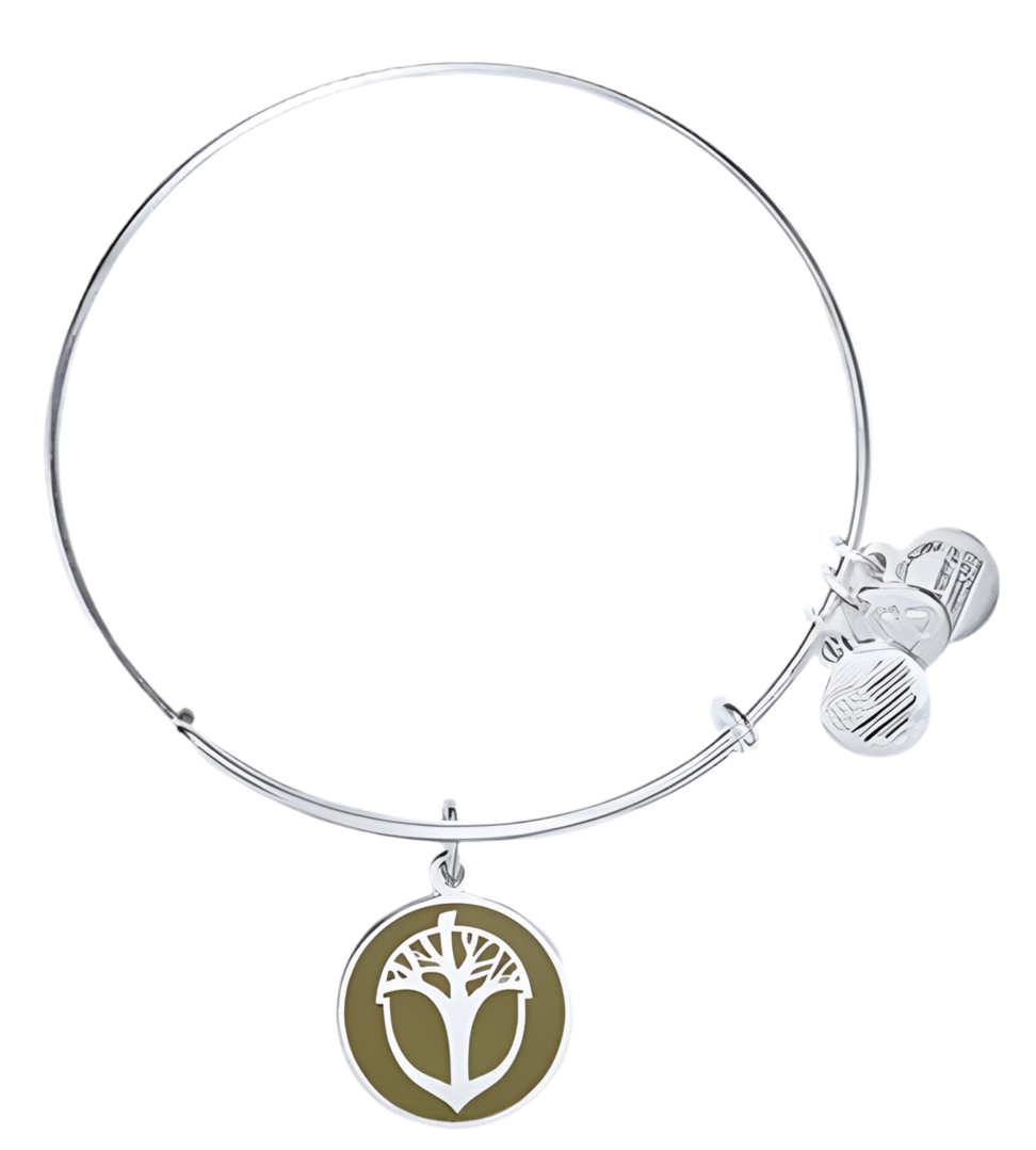 Alex and Ani - Unexpected Miracles Color Infused Olive Background Charm
