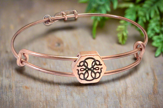 Alex and Ani – Path of Life Slide, Rafaelian Rose Gold, Adjustable and Stackable, Collector’s Gift for Her, NWOT