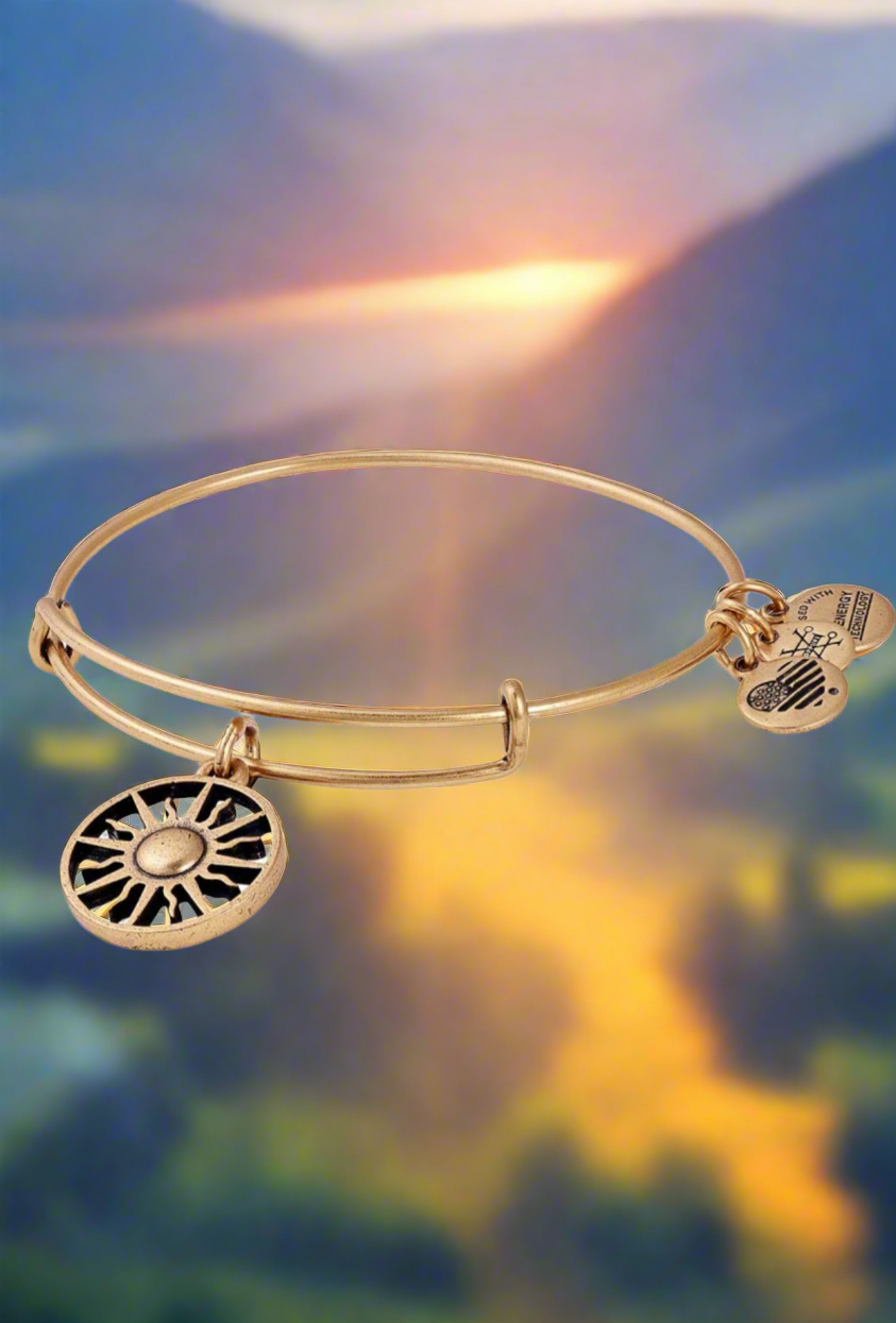 Alex and Ani - Rising Sun Charm Bangle, Rafaelian Rose Gold Charm and Gold Bracelet