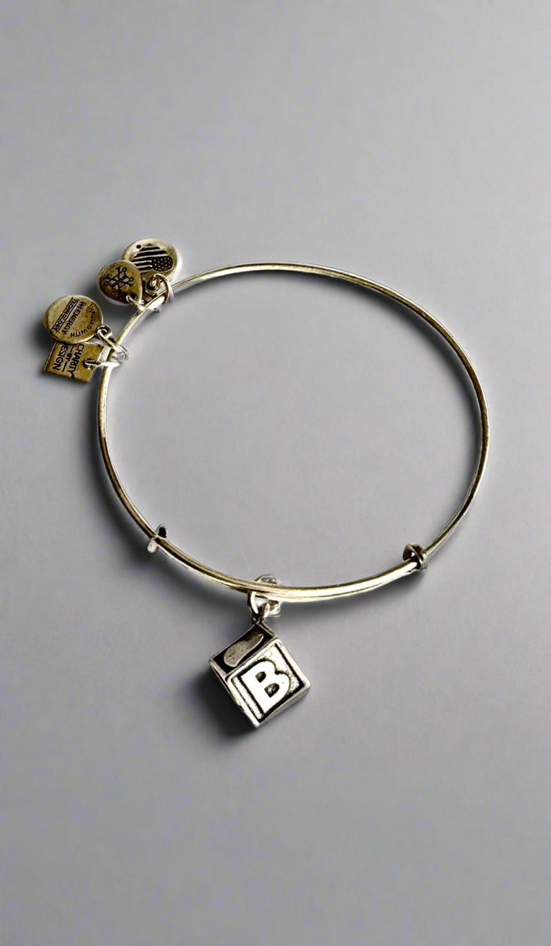 Alex and Ani - Baby Block Charm Bangle Bracelet