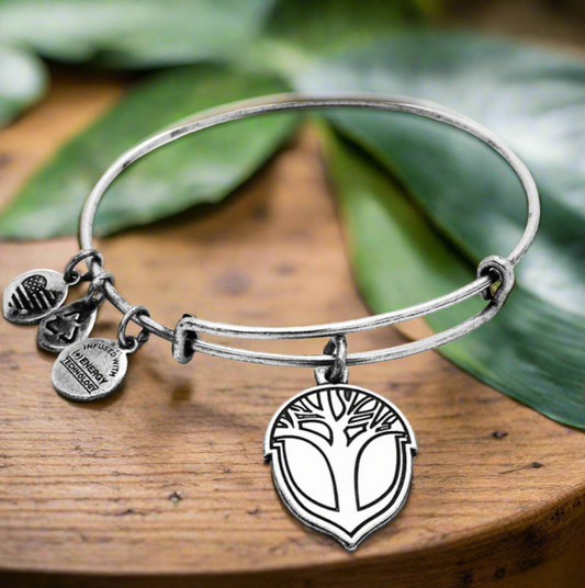 Alex and Ani - Unexpected Miracles Charm Bangle Bracelet