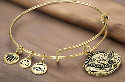 Alex and Ani - Guardian of Freedom Fly With Me Charm Bangle Bracelet