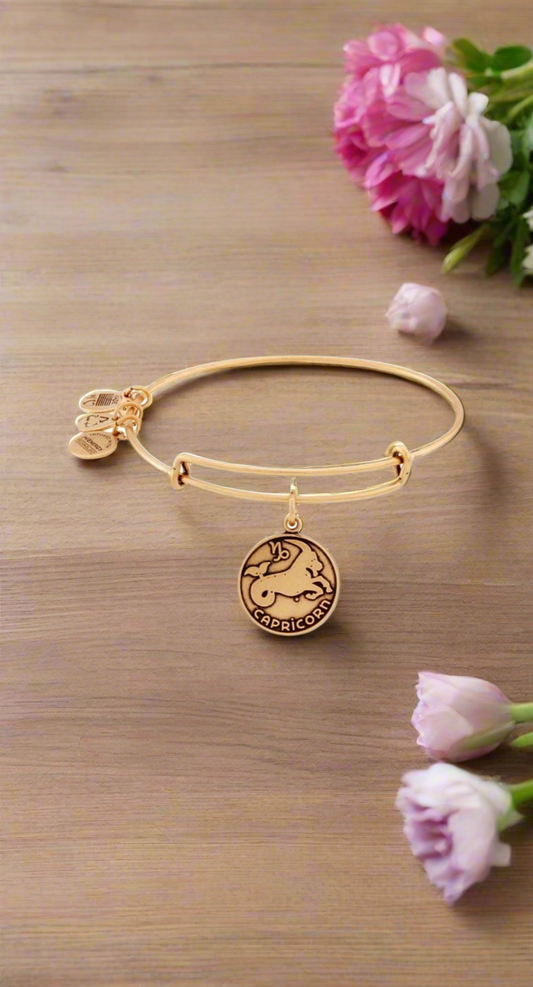 Alex and Ani - Capricorn, 12/21-01/20, Zodiac Sign Charm Bangle Bracelet