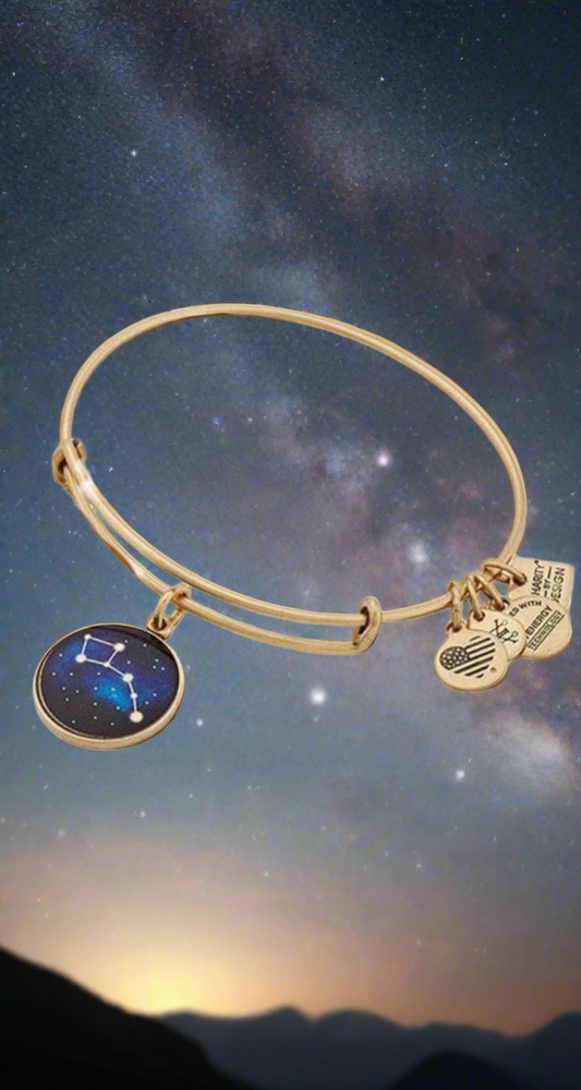 Alex and Ani - Little Dipper Charm Bangle Bracelet