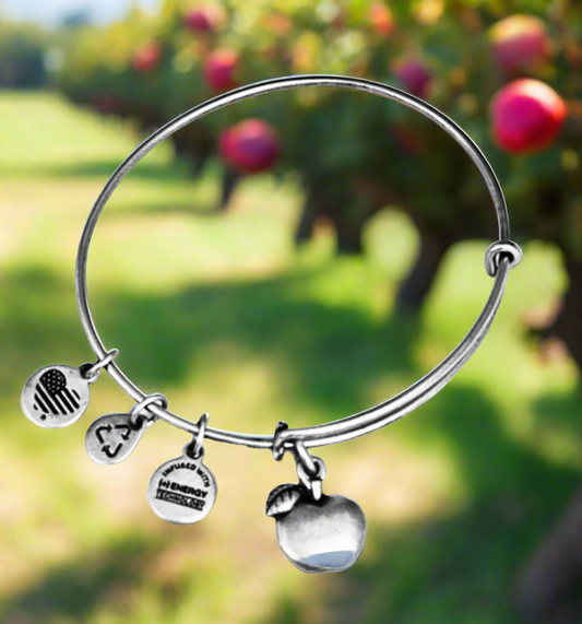 Alex and Ani - Apple Charm Bangle Bracelet